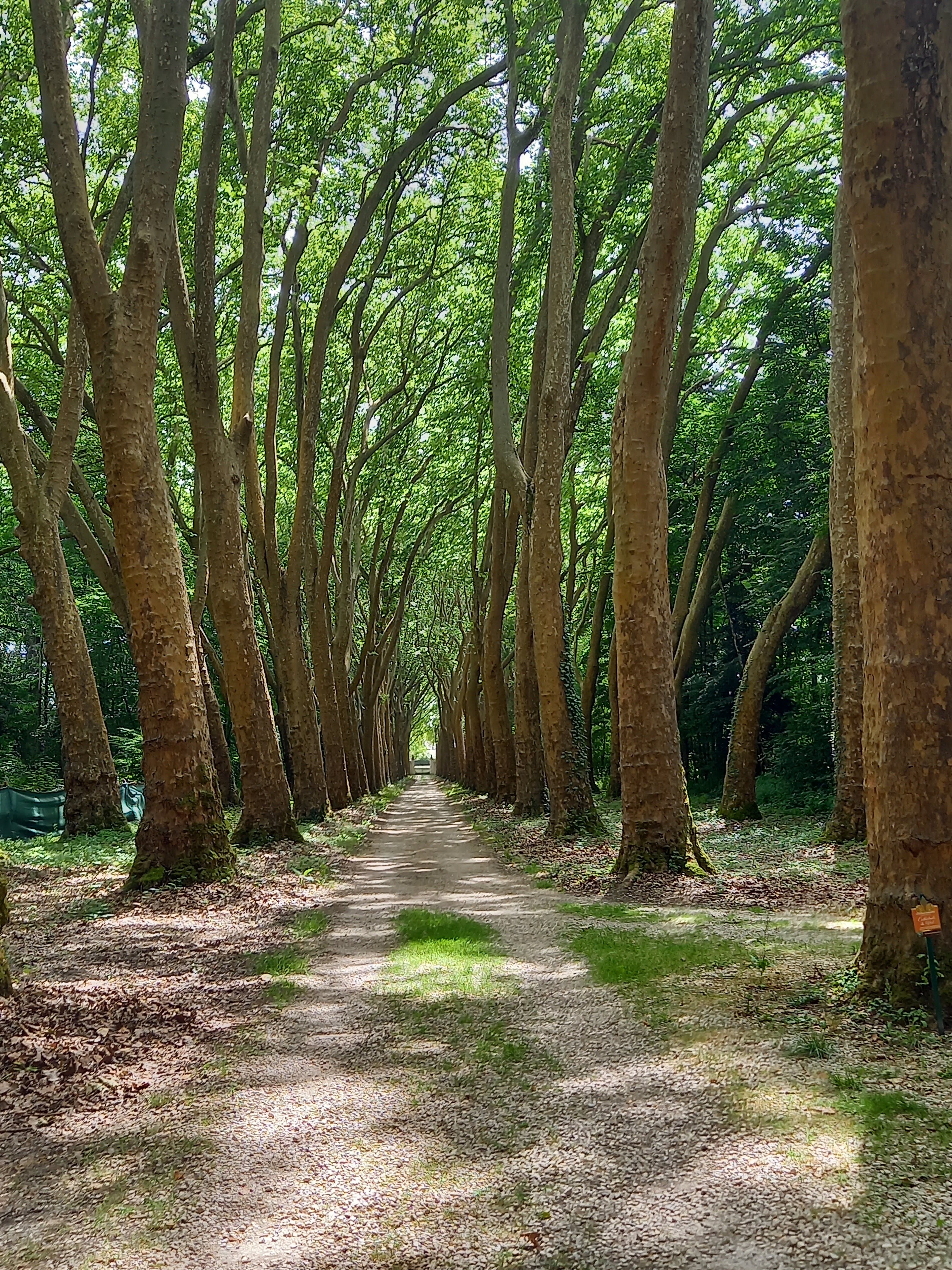Photo n° 20 de l'avis de Domie.a fait le 21/06/2022 à 14:32