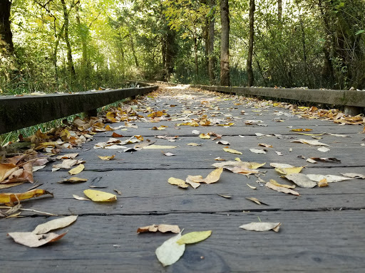 Park «Tualatin Hills Nature Park», reviews and photos, 15655 SW Millikan Way, Beaverton, OR 97006, USA