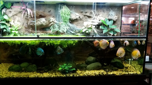 Pet Store «Miles of Exotics», reviews and photos, 8350 N Broadway, Kansas City, MO 64118, USA