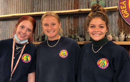 Toy Store «Great Turtle Toys», reviews and photos, Main St, Mackinac Island, MI 49757, USA