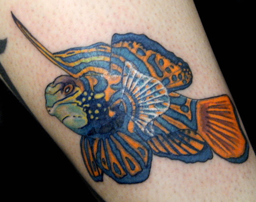 Tattoo Shop «Echo Tattoo», reviews and photos, 19508 Aurora Ave N, Shoreline, WA 98133, USA