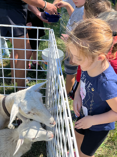 Preschool «Children Central Child Care / Learning Center», reviews and photos, 882 Town Center Dr, Langhorne, PA 19047, USA