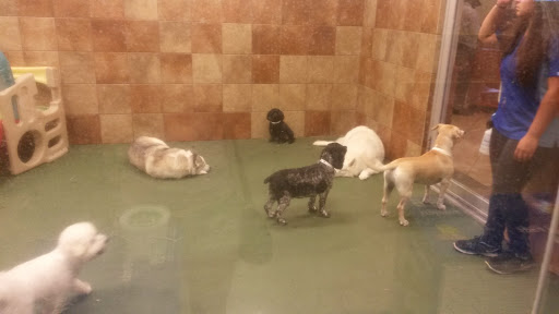 Pet Supply Store «PetSmart», reviews and photos, 400 Mill Creek Dr, Secaucus, NJ 07094, USA