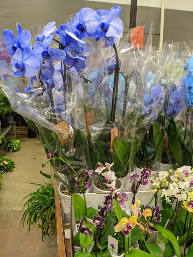 Home Improvement Store «The Home Depot», reviews and photos, 615 Arsenal St, Watertown, MA 02472, USA