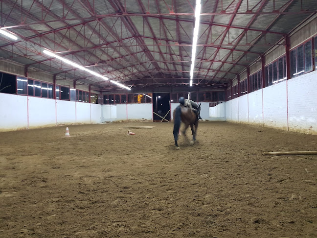 Ιππικός Όμιλος Αθηνών - Νυχτερινό κέντρο
