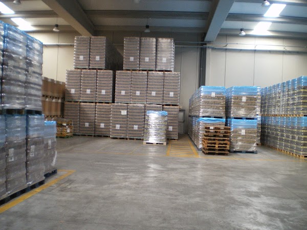 Servicios Logisticos Tafalla SL