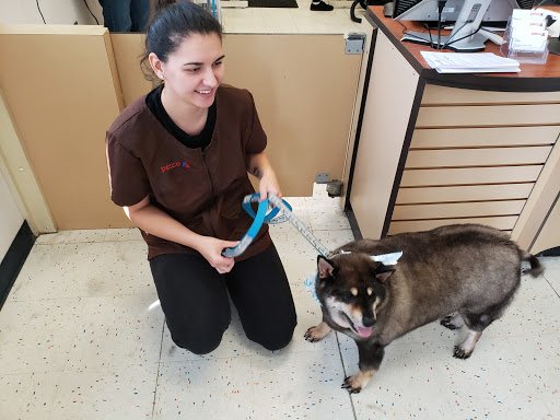 Pet Supply Store «Petco Animal Supplies», reviews and photos, 25 Hazard Ave, Enfield, CT 06082, USA