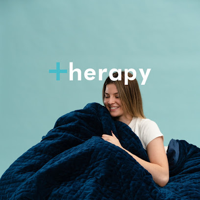 Therapy Blanket