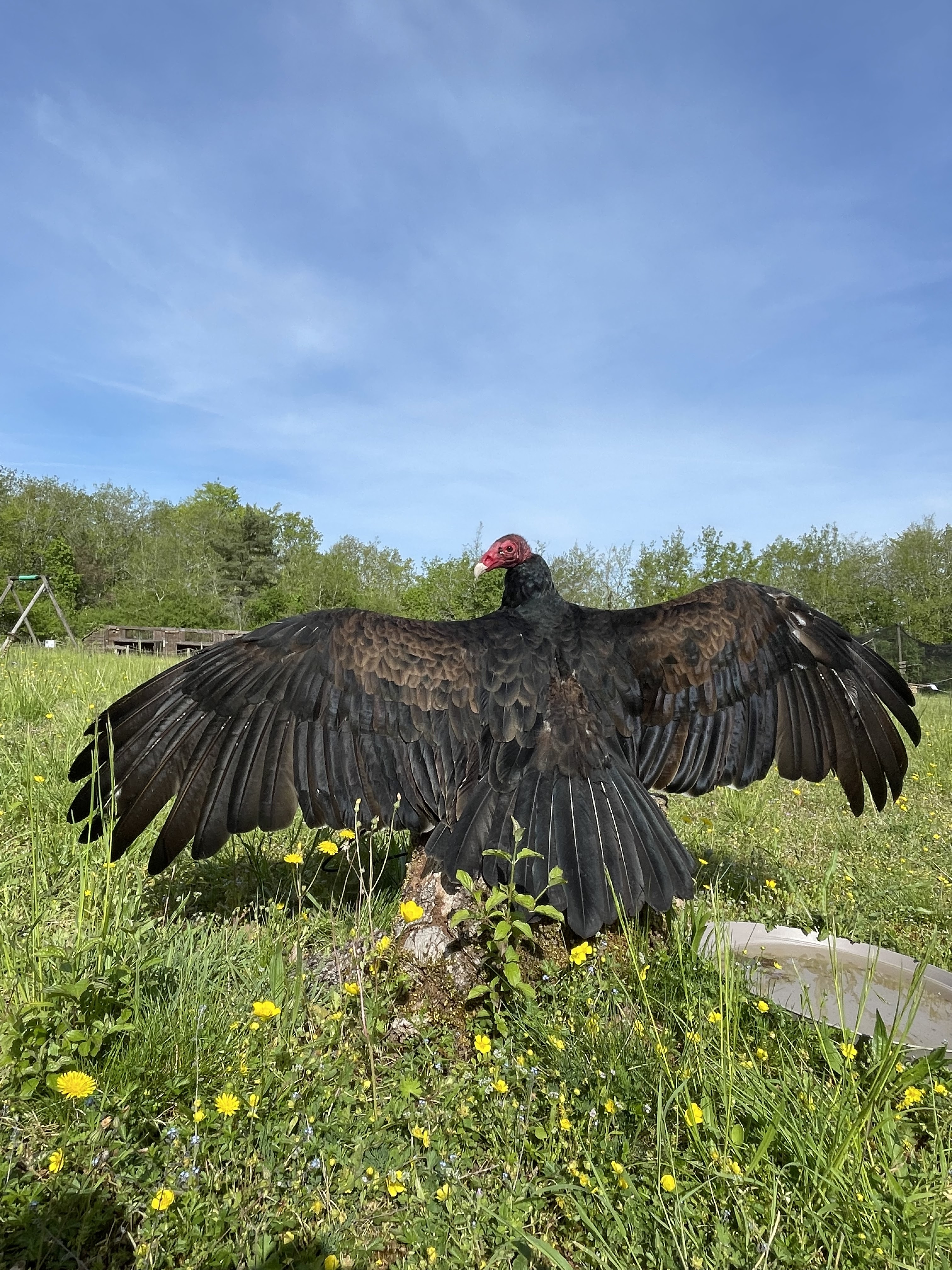 Photo n° 5 de l'avis de Celia.e fait le 23/08/2022 à 19:00