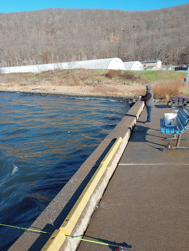 Fishing Area «Kinzua Dam», reviews and photos