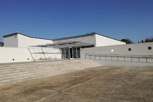 Museum of archeology D. Diogo de Sousa image