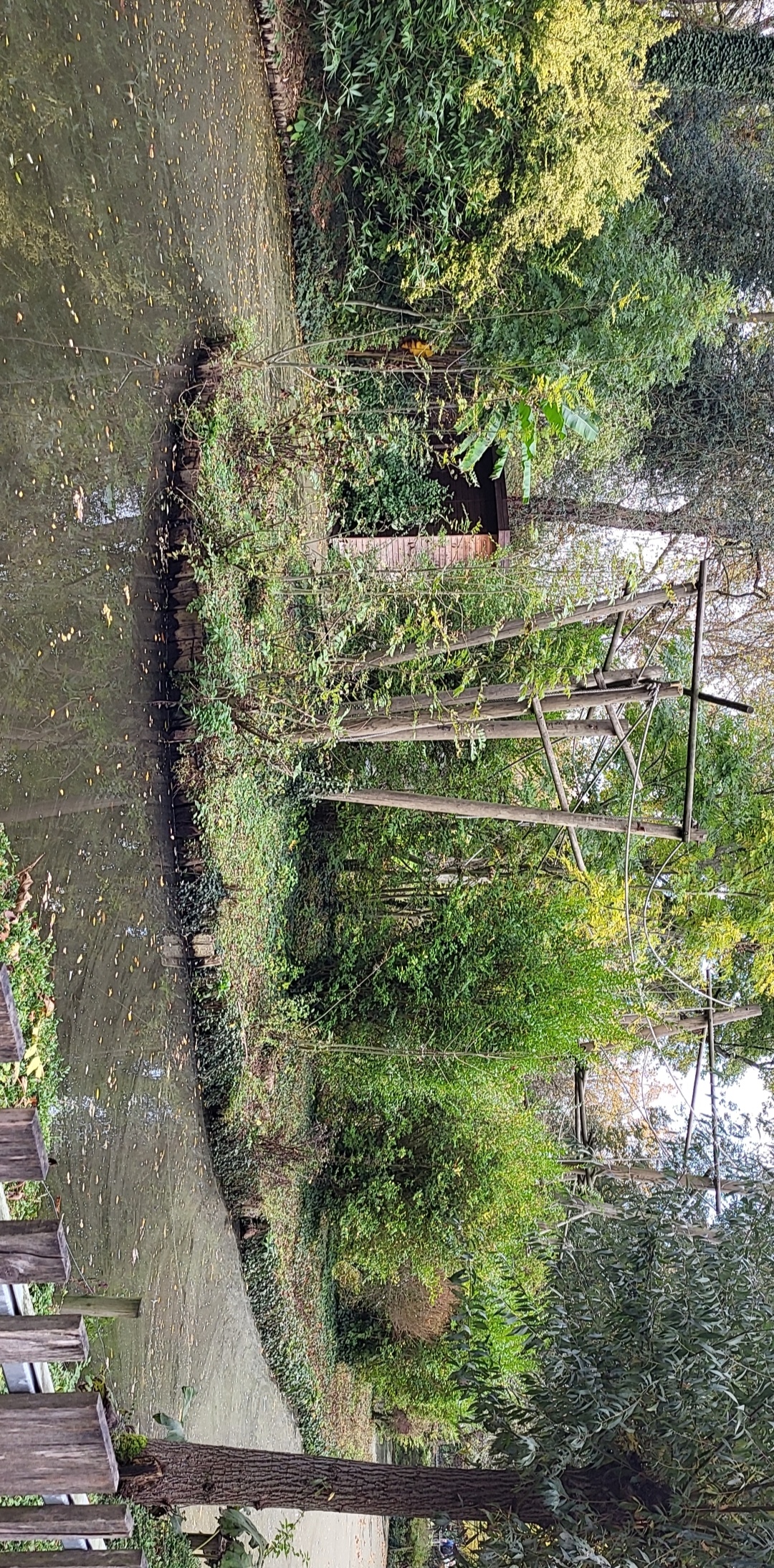 Photo n° 12 de l'avis de Jennifer.a fait le 11/11/2022 à 12:11