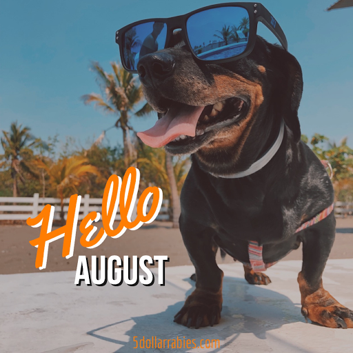 Obt-Orange Ave Pet Doc Hospital