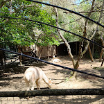 Photo n°6 de l'avis de Mario.e fait le 15/05/2024 à 17:02 sur le  Parc Gallorose à Loc. Cedrino