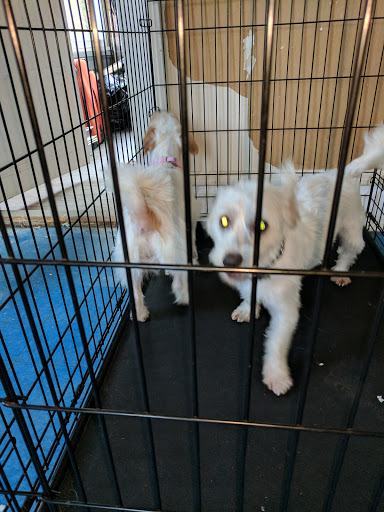 Park «Weequahic Park», reviews and photos, Elizabeth Ave & Meeker Ave, Newark, NJ 07112, USA