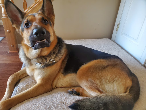 266 Church Rd, Mountain Top, PA 18707, USA