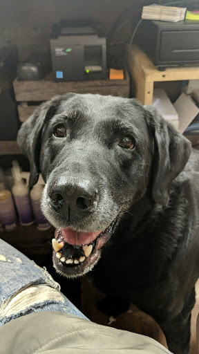 Pet Supply Store «Thomaston Feed», reviews and photos, 141 Watertown Rd, Thomaston, CT 06787, USA