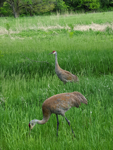 Nature Preserve «Lakewood Forest Preserve», reviews and photos, 27277 N Forest Preserve Rd, Wauconda, IL 60084, USA