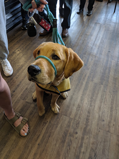 Shopping Mall «Golden Horseshoe Shopping Center», reviews and photos, 1088 Wilmot Rd, Scarsdale, NY 10583, USA