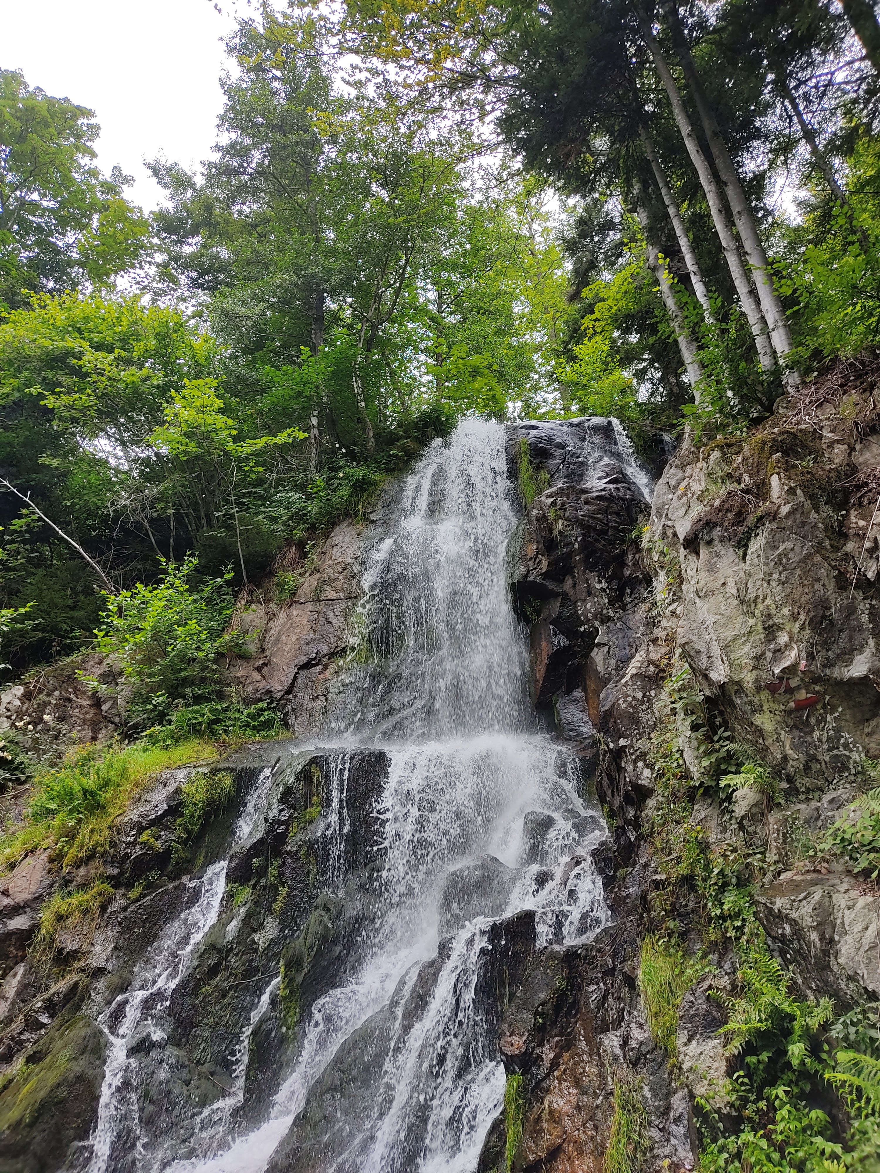Photo n° 1 de l'avis de Dji.a fait le 30/07/2021 à 16:29
