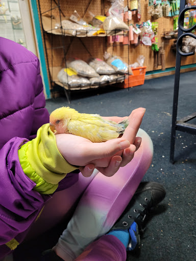 Pet Store «Birds & Beasts Pet Shop», reviews and photos, 35 Berkshire Dr # 18, Crystal Lake, IL 60014, USA