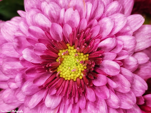 Home Improvement Store «The Home Depot», reviews and photos, 56 Myrick St, Ellsworth, ME 04605, USA