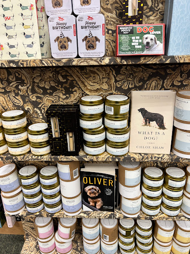 Book Store «Barnes & Noble», reviews and photos, 1201 Lake Woodlands Dr, The Woodlands, TX 77380, USA