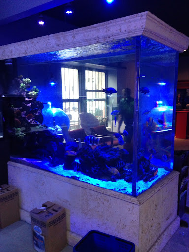 Tropical Fish Store «Manhattan Aquariums», reviews and photos, 522 W 37th St, New York, NY 10018, USA
