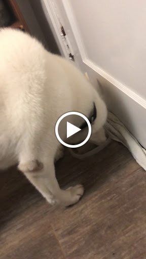 Pet Supply Store «Land Bark Pet Supplies», reviews and photos, 3200 Riverside Blvd, Sacramento, CA 95818, USA