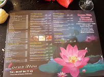 Restaurant Lotus Bleu à Agde menu