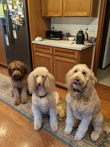 Pet Supply Store «PetSmart», reviews and photos, 31705 Pacific Hwy S, Federal Way, WA 98003, USA