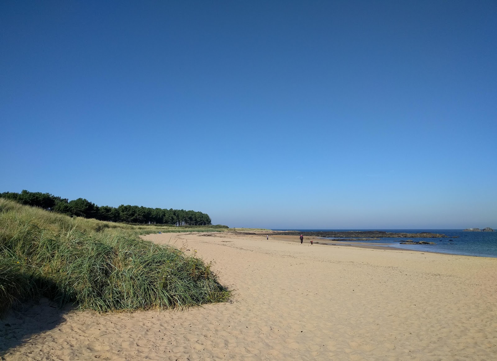 Yellowcraig Beach photo #4