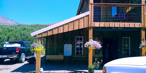 Paws Produce & Fish Market