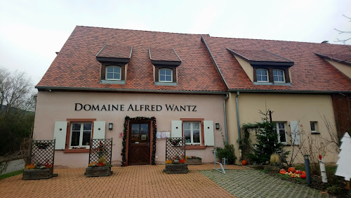 Domaine Alfred Wantz à Mittelbergheim