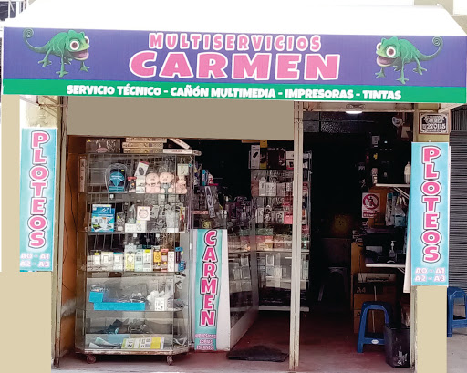 MULTISERVICIOS CARMEN