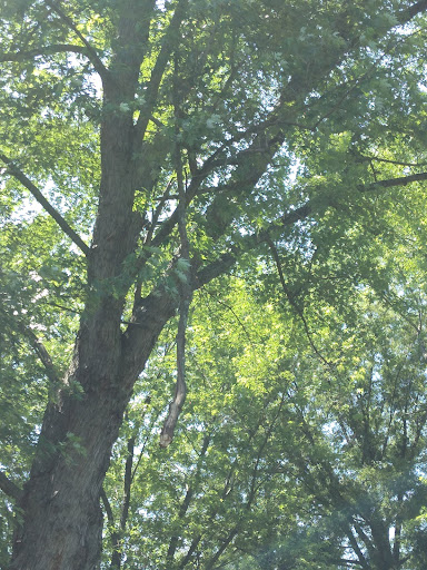 Park «Eastern Regional Park», reviews and photos, 11723 Eastern Ave, Middle River, MD 21220, USA