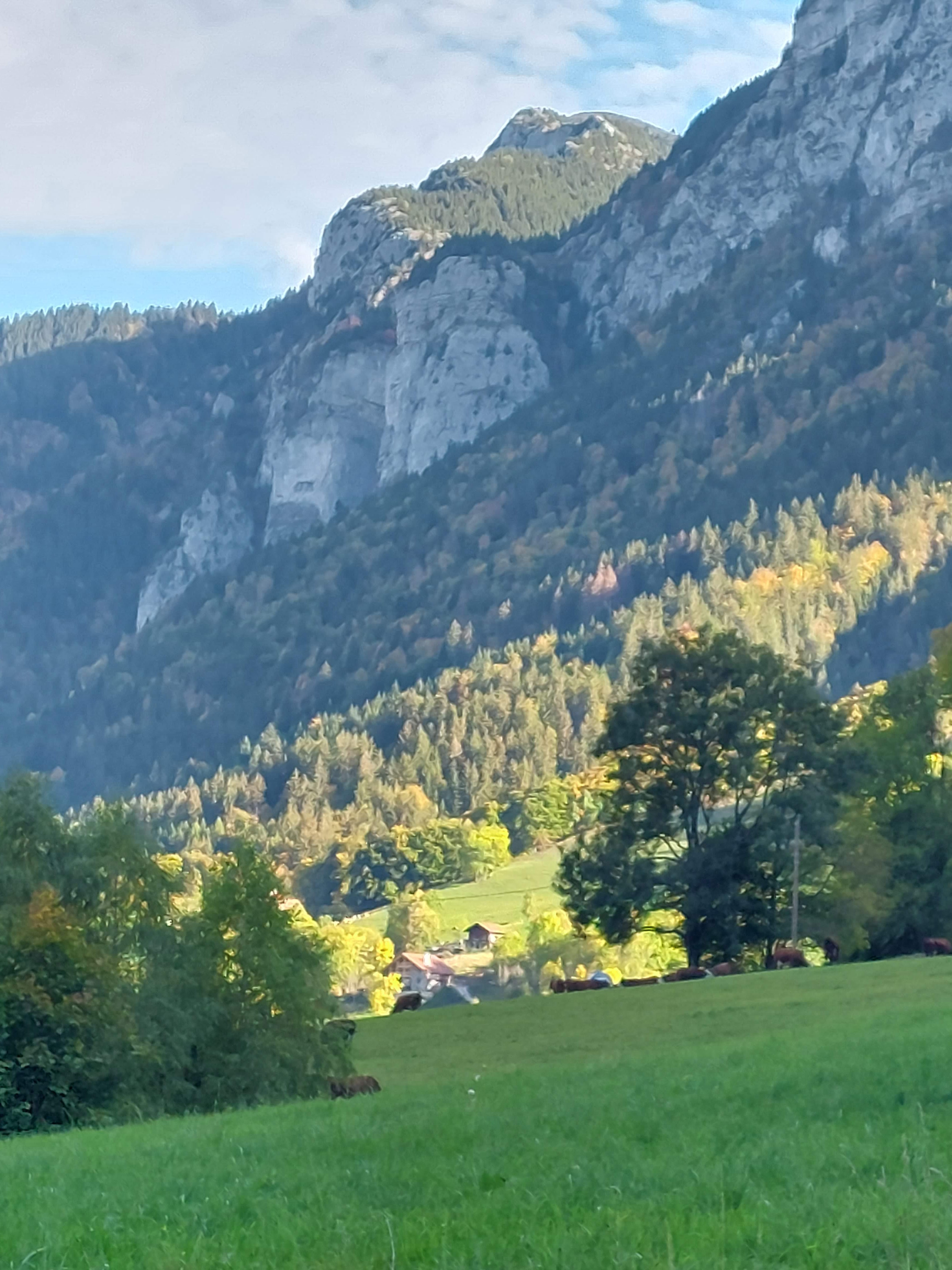 Photo n° 32 de l'avis de Jan.e fait le 21/10/2022 à 15:29