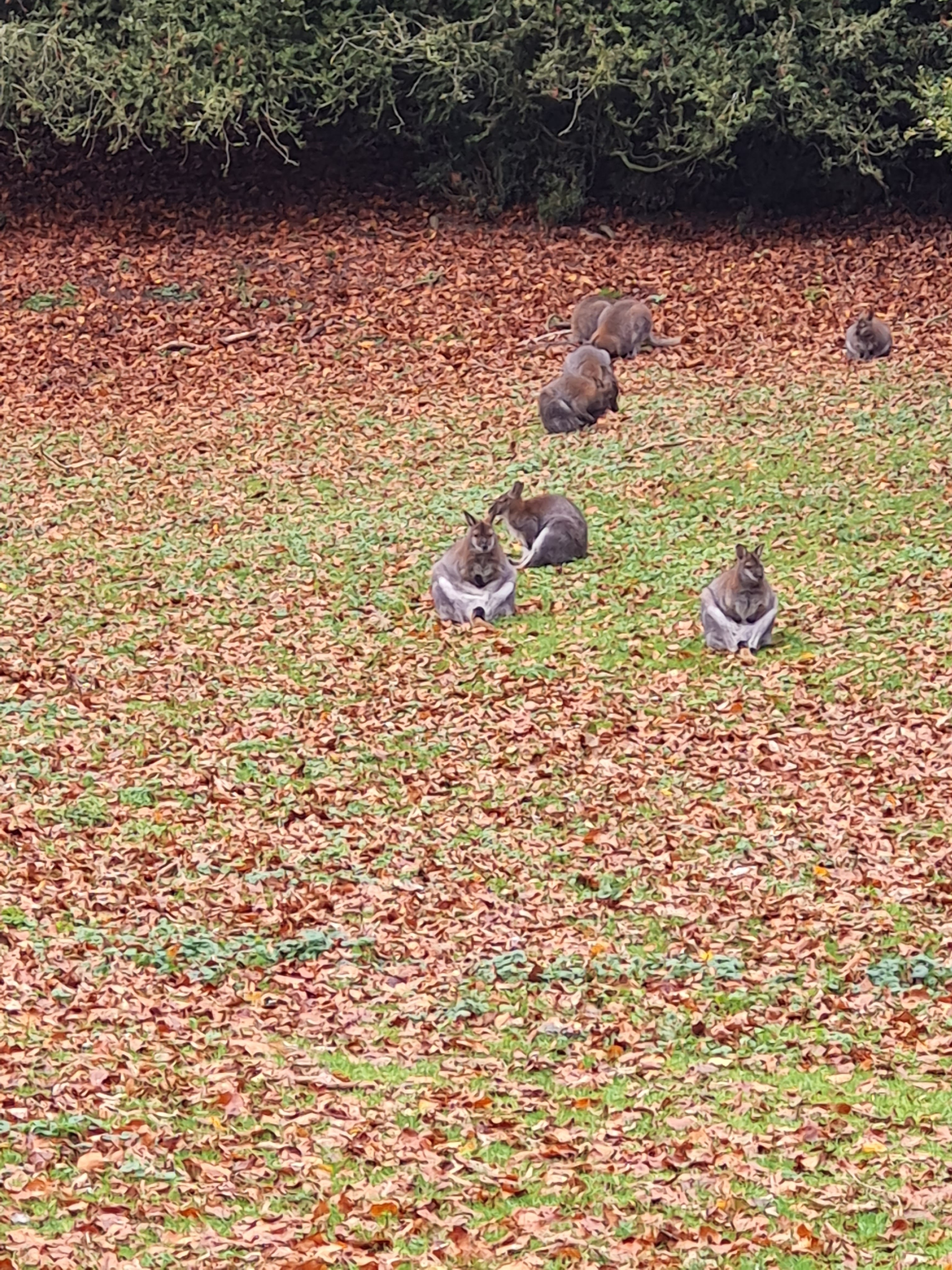 Photo n° 4 de l'avis de Marie-Pascale.c fait le 30/11/2023 à 17:08