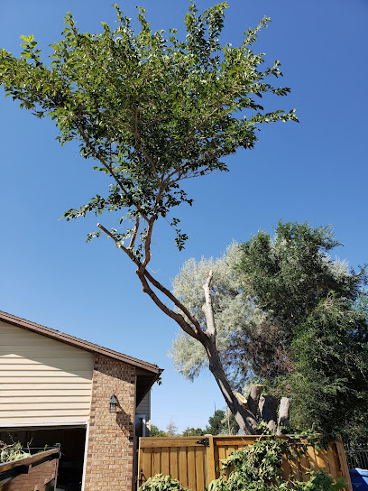 Empire Tree Service of Park City