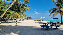 Crystal Waters beach'in fotoğrafı imkanlar alanı