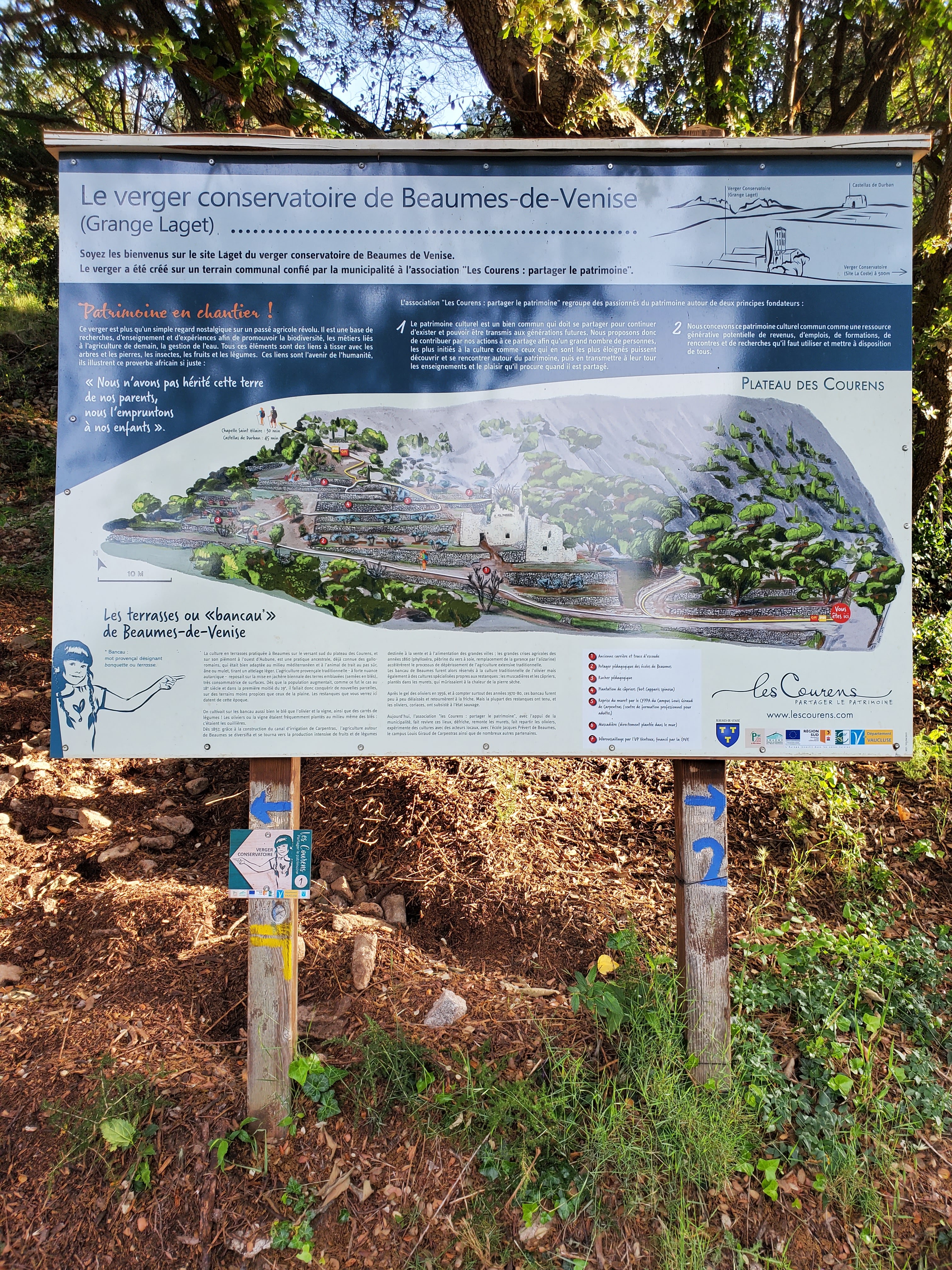 Photo n° 1 de l'avis de FRANÇOISE.O fait le 11/06/2020 à 16:59