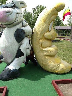 Rinky Dink Family Fun Center - photo 34