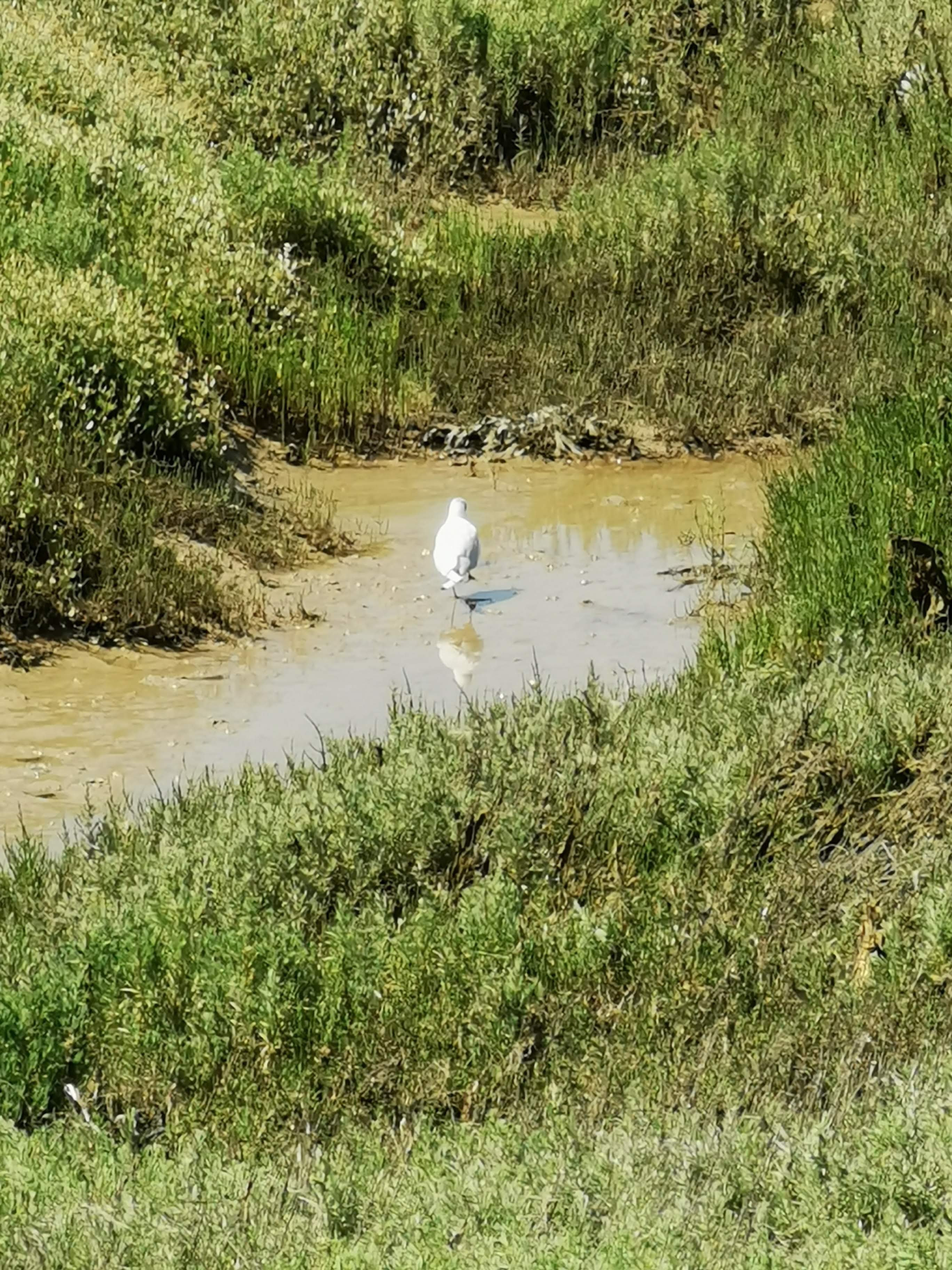 Photo n° 5 de l'avis de Marian.d fait le 30/07/2021 à 17:40