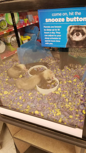 Pet Supply Store «Petco Animal Supplies», reviews and photos, 3215 Dredge Dr, Helena, MT 59602, USA
