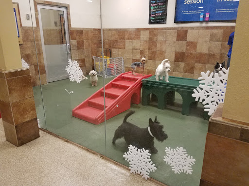 Pet Supply Store «PetSmart», reviews and photos, 400 Mill Creek Dr, Secaucus, NJ 07094, USA