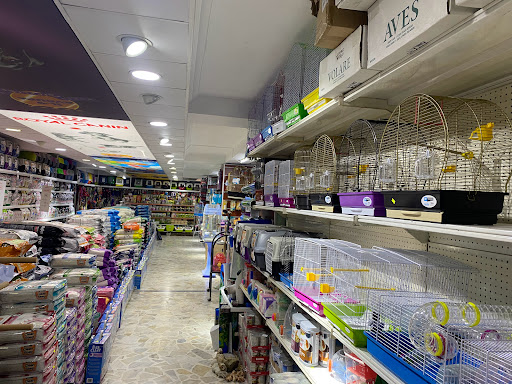 K9 Avrupa Evcil Hayvan Çiftliği | Şişli İstanbul - Evcil Hayvan Malzemeleri Mağazası