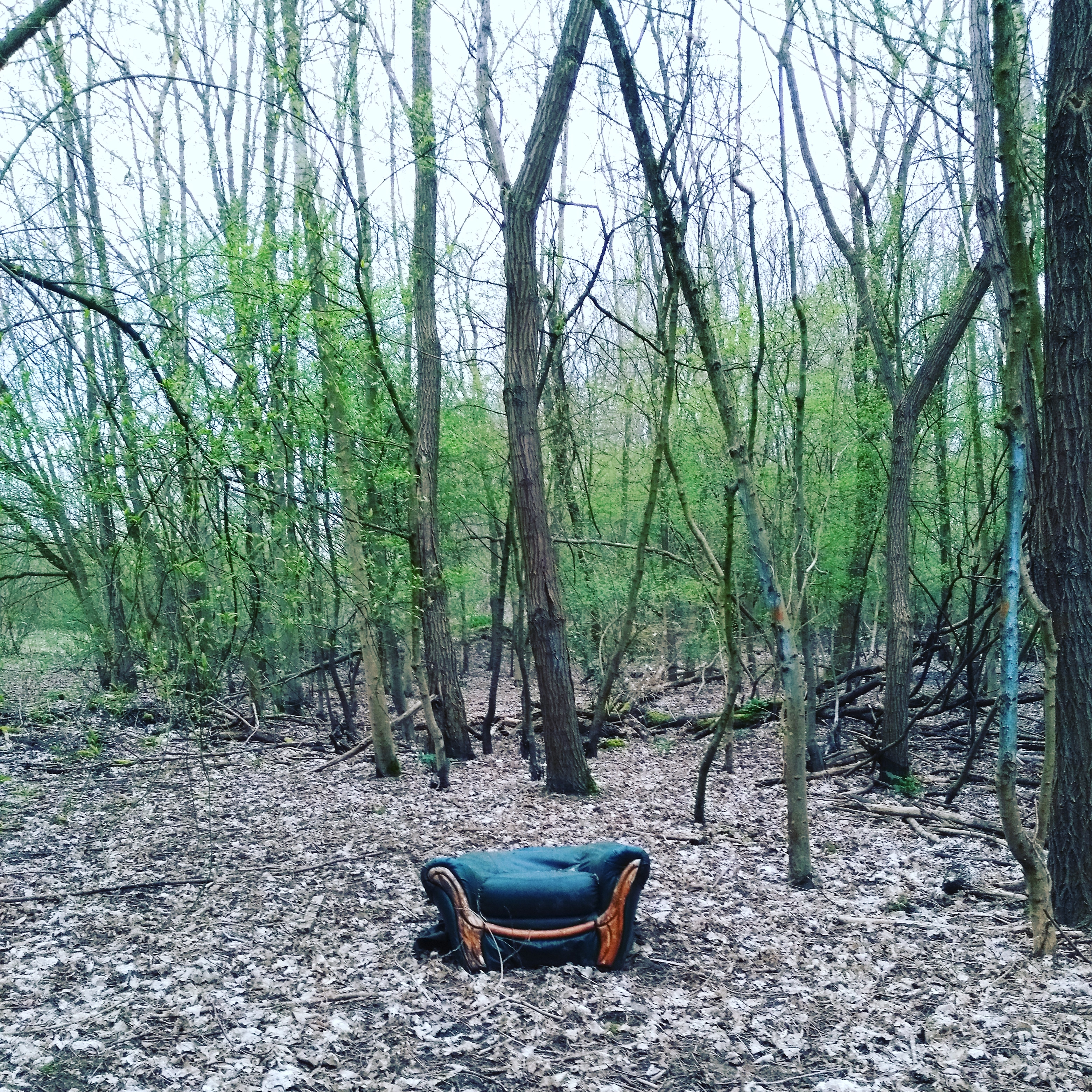 Photo n° 1 de l'avis de The.. fait le 11/04/2018 à 22:33