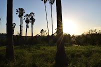 Rio Hondo College - Photo 2 - Car repair in Whittier, CA, Pasadena
