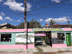 Floricultura Conceito das Matas