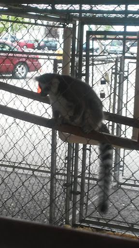 Shopping Mall «Five Points Mall», reviews and photos, 1129 N Baldwin Ave, Marion, IN 46952, USA